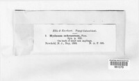Image Associated With the Occurence